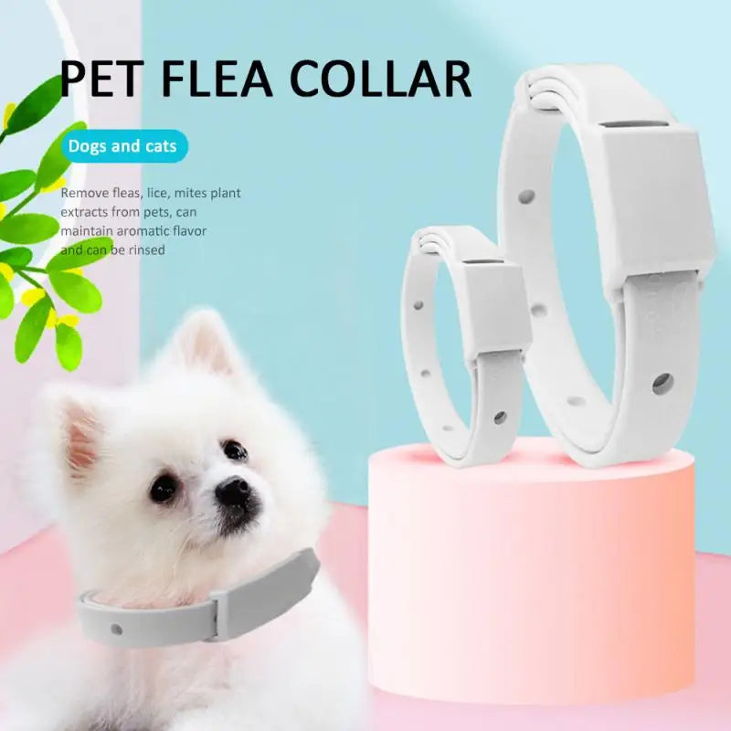 3pc Adjustable Cat & Dog Collar Flea &