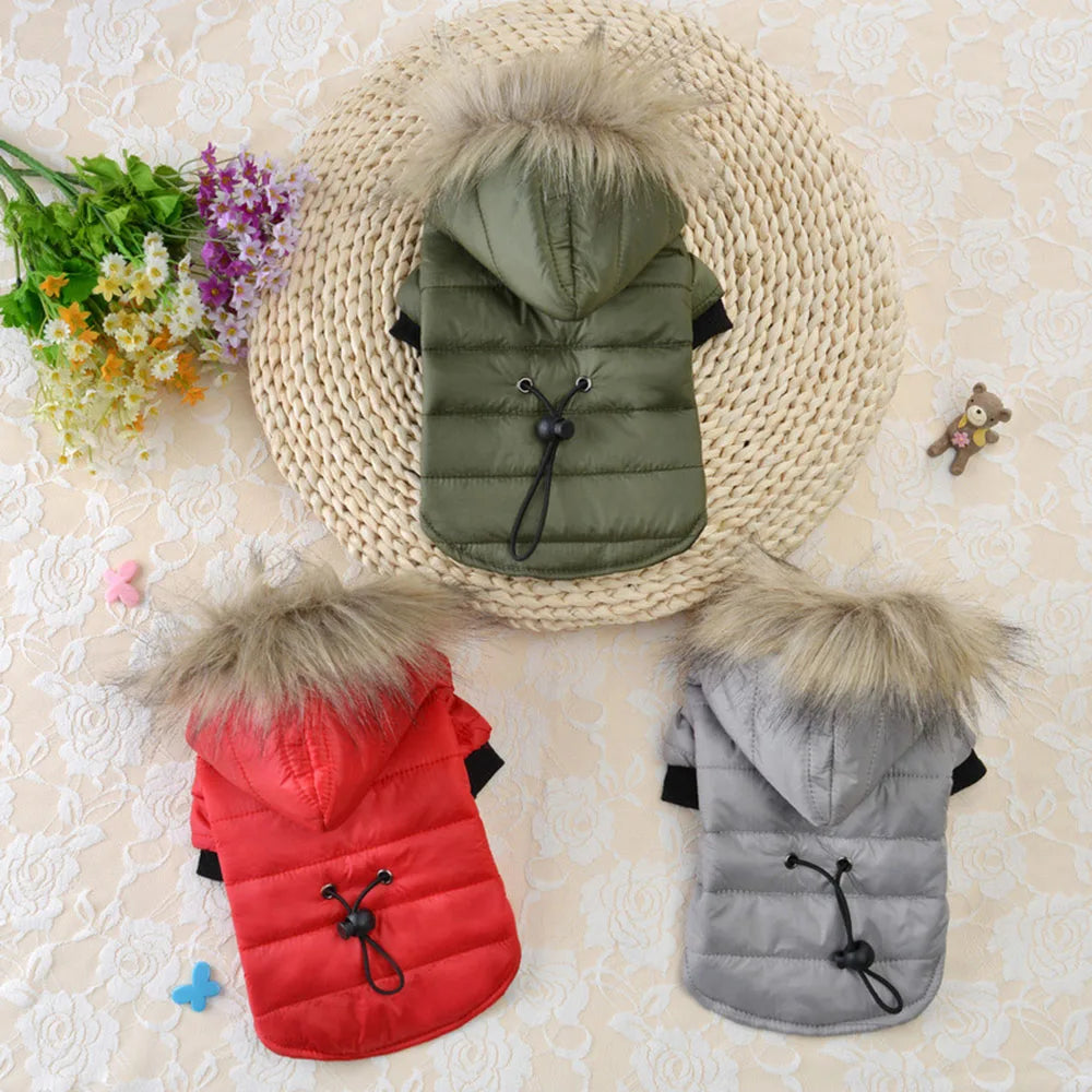 Dog Winter Coat Windproof Small Dog Hoodie Jacket