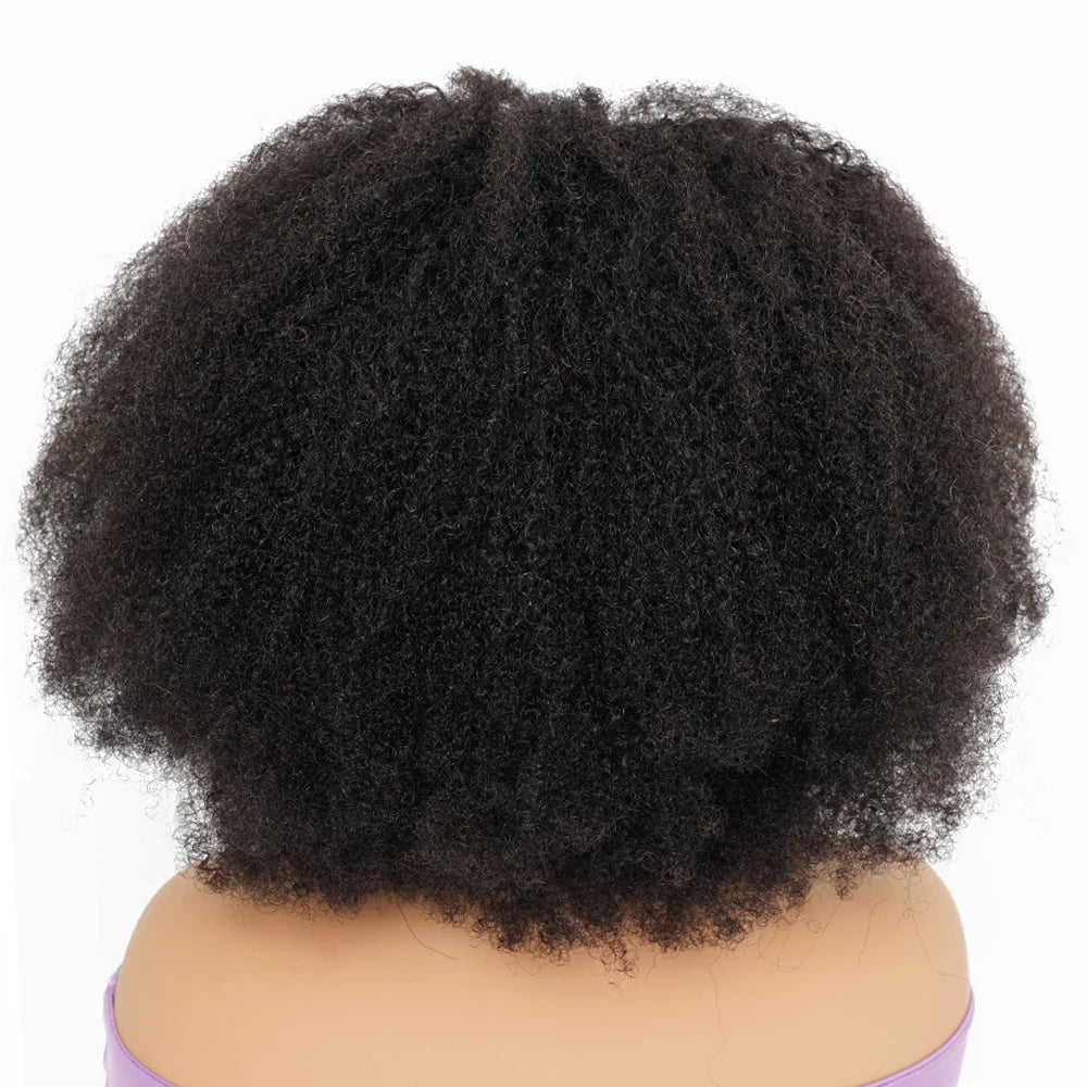 250% Density Afro Kinky Curly Human Hair Wigs