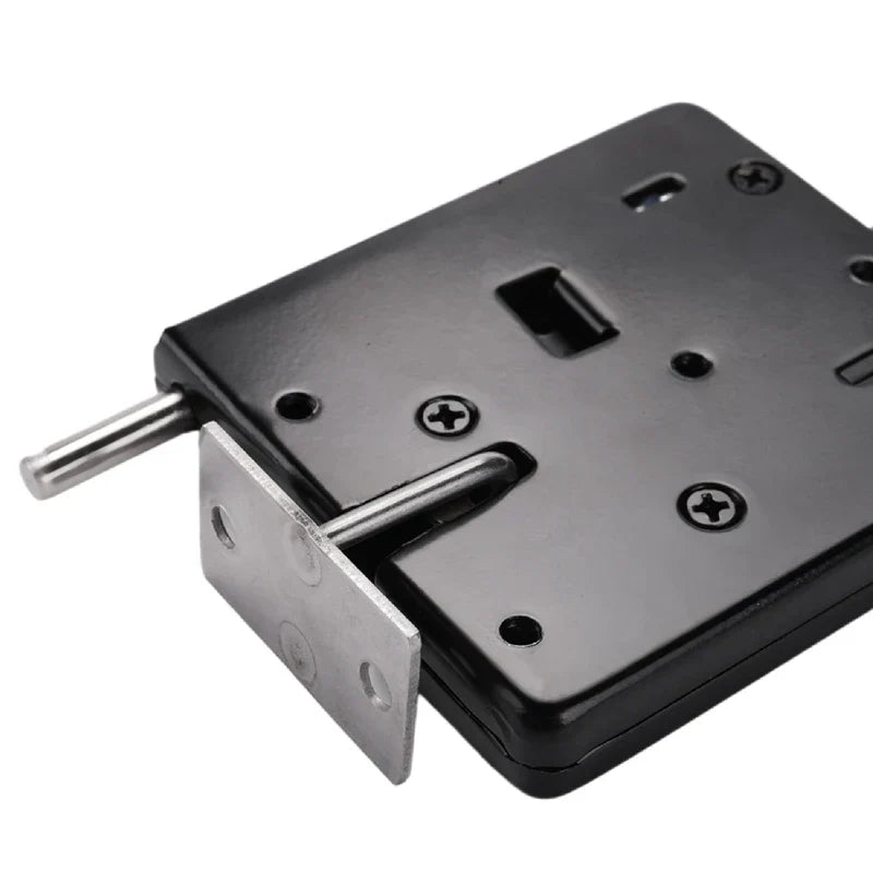 12V 2A Intelligent Electronic Control Electromagnetic Lock, Locker