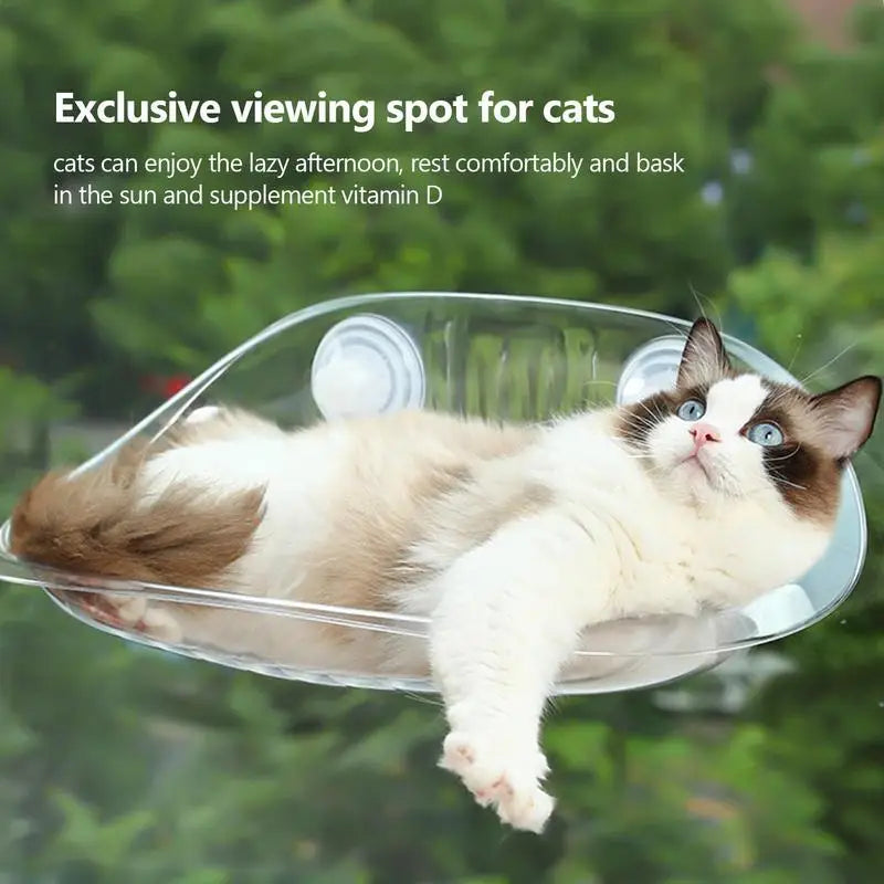 Wall Mount Cat Hammock Wall Shelves Cat Furniture