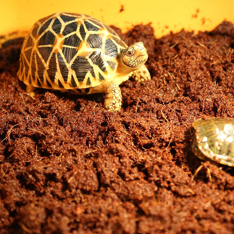 Tortoise Reptile Bedding Soil 650g Reptile Coconut Soil
