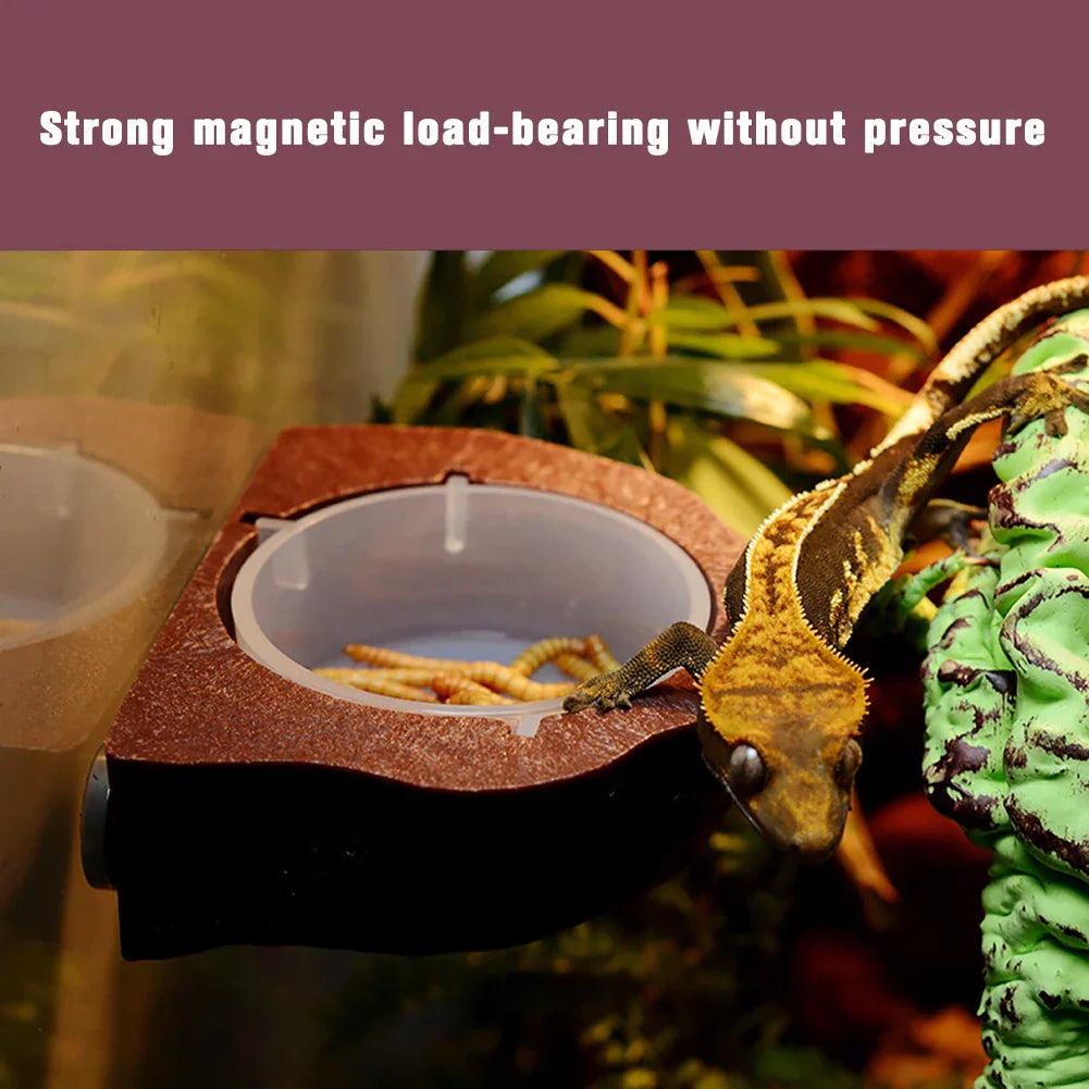 New Reptile Gecko Food Water Bowl Magnetic Adsorption