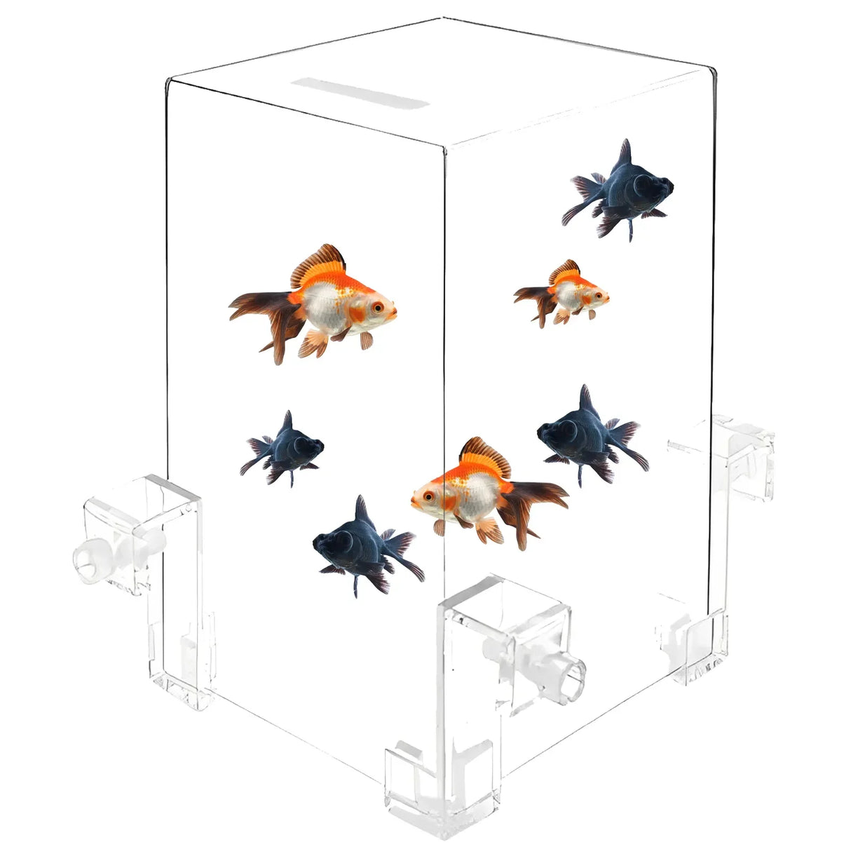 Fish Elevator-Negative Pressure Fish Tank Water Fish Tank