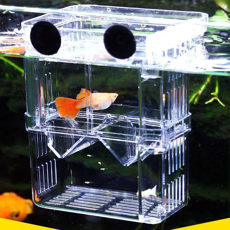 Double-Deck Clear Fish Breeding Isolation Box Aquarium Breeder