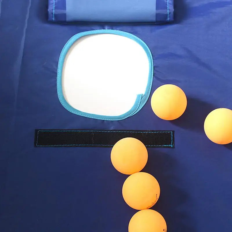 Portable Table Tennis Ball Catch Net Professional Pingpong