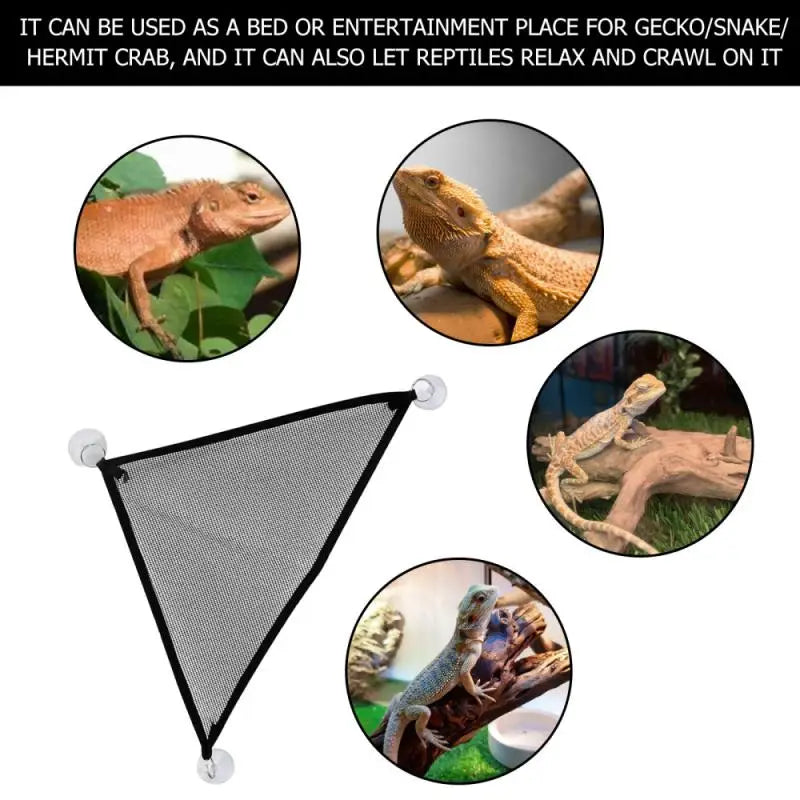 2 Pack Bearded Dragon Hammock Lizard Lounger Ladder