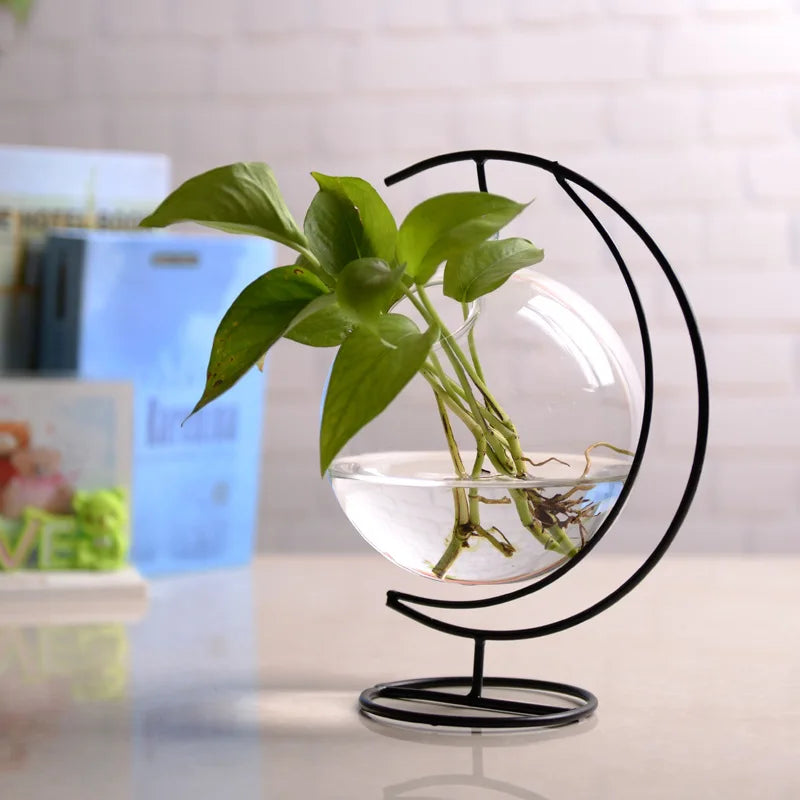 Creative Mini Clear Glass Aquarium Goldfish Bowl Hanging