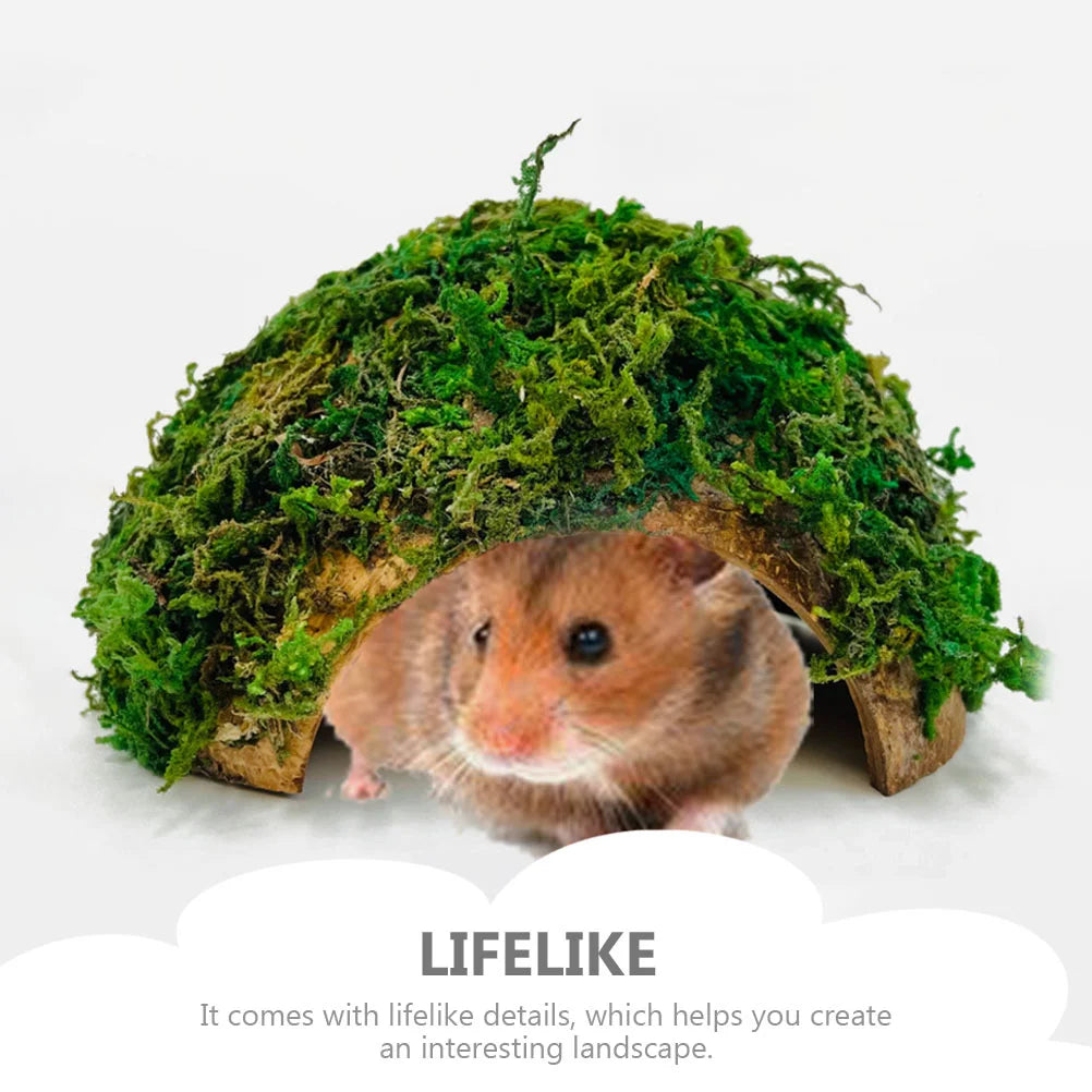 Reptile Hideout House Terrarium Tank Hamster Shelter Tortoise
