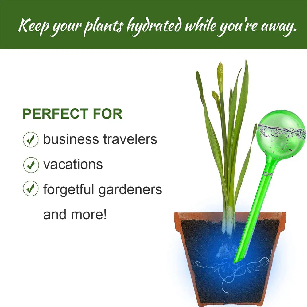 3610Pcs Automatic Plant Watering Bulbs Self Watering Globe