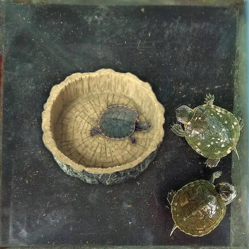 Reptile Water Dish Resin Lizard Water Bowl Amphibian