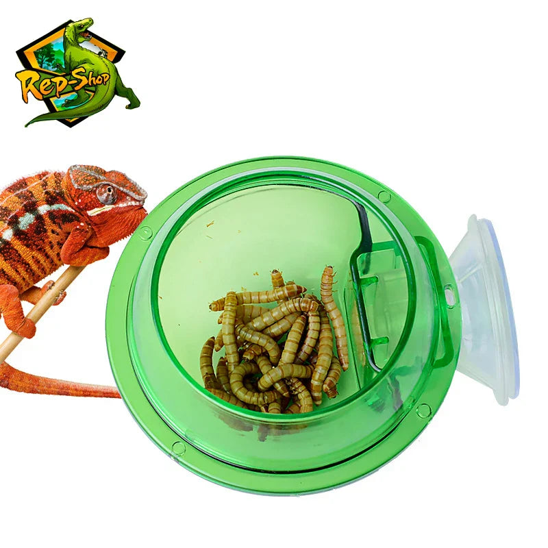 Reptile Feeder Chameleon Feeding Food Bowl Water Dish