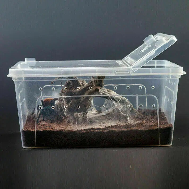 Large Terrarium Reptile Feeding Box with Bowl Lizard