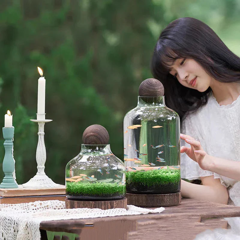 Ecological Bottle Micro Landscape Glass Ecological Fish Tank