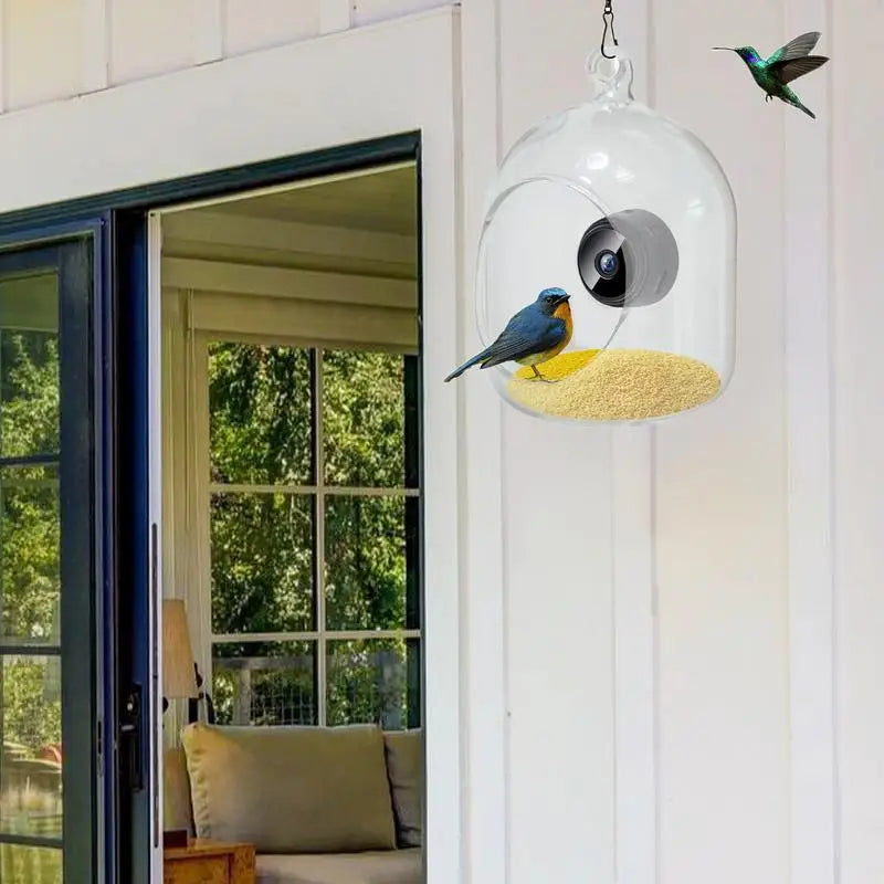 Bird Feeder With Camera Night Vision Camera IP66