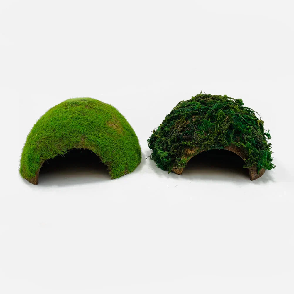 Reptile Hideout House Hamster Turtle Habitat Shelter Terrarium