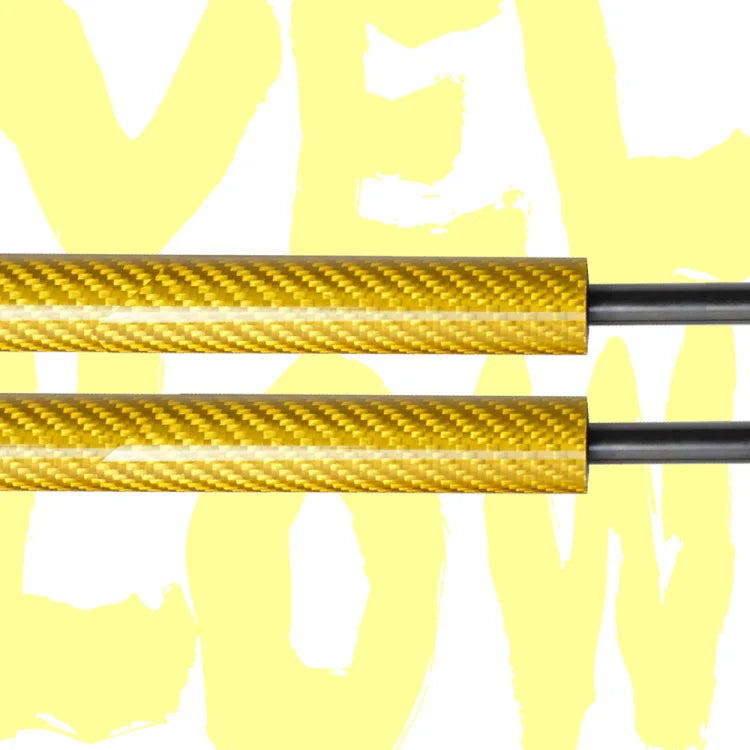 2PCS Tailgate Lift Support Struts for Lexus RX330/RX400h