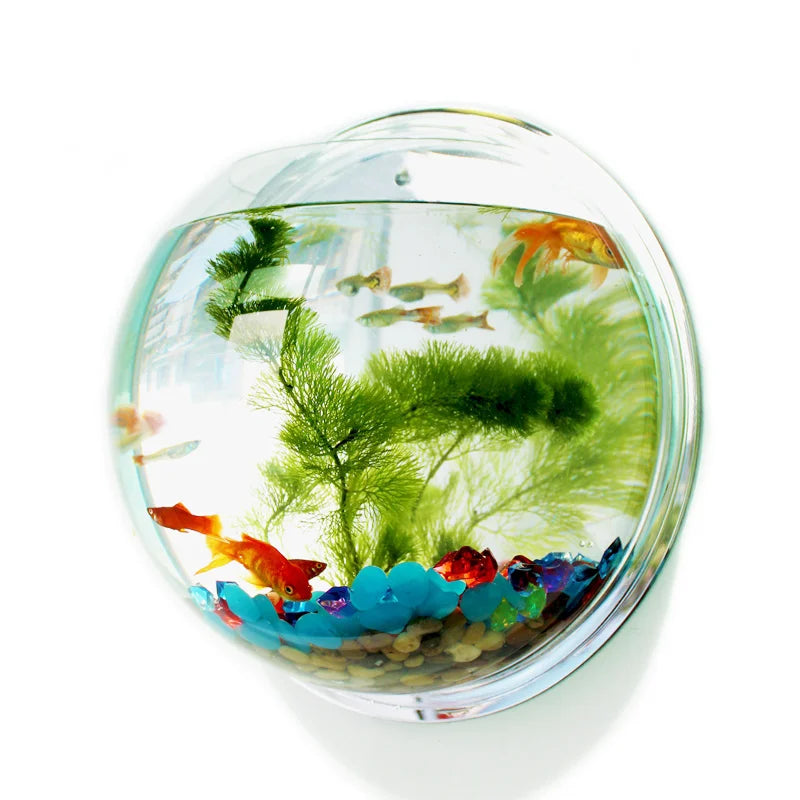 Pinsjar Acrylic Fish Bowl Wall Hanging Aquarium Tank