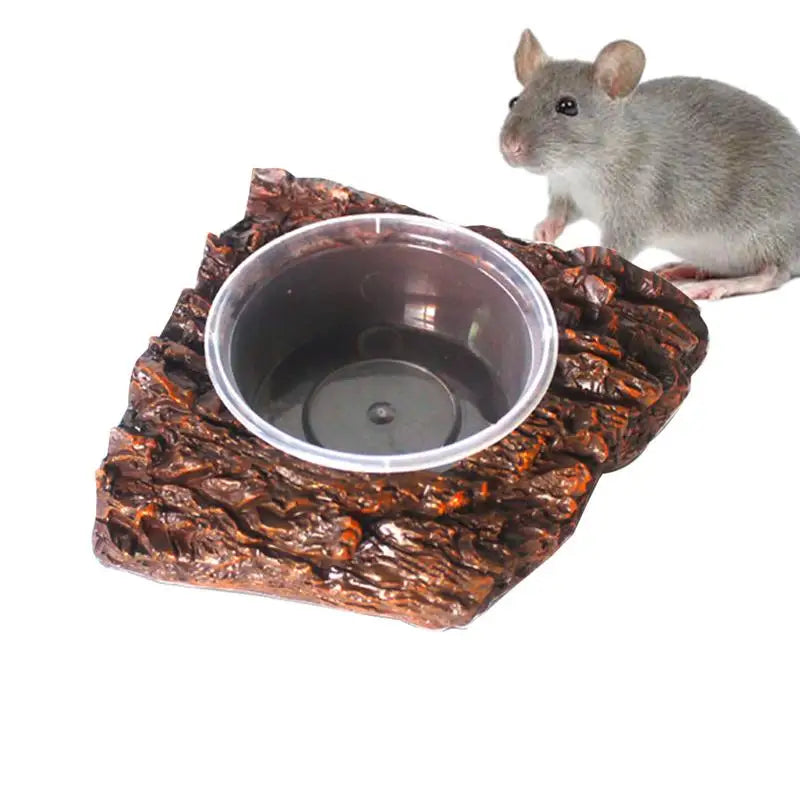 Reptile Water Bowl Resin Reptile Food Dish Bearded