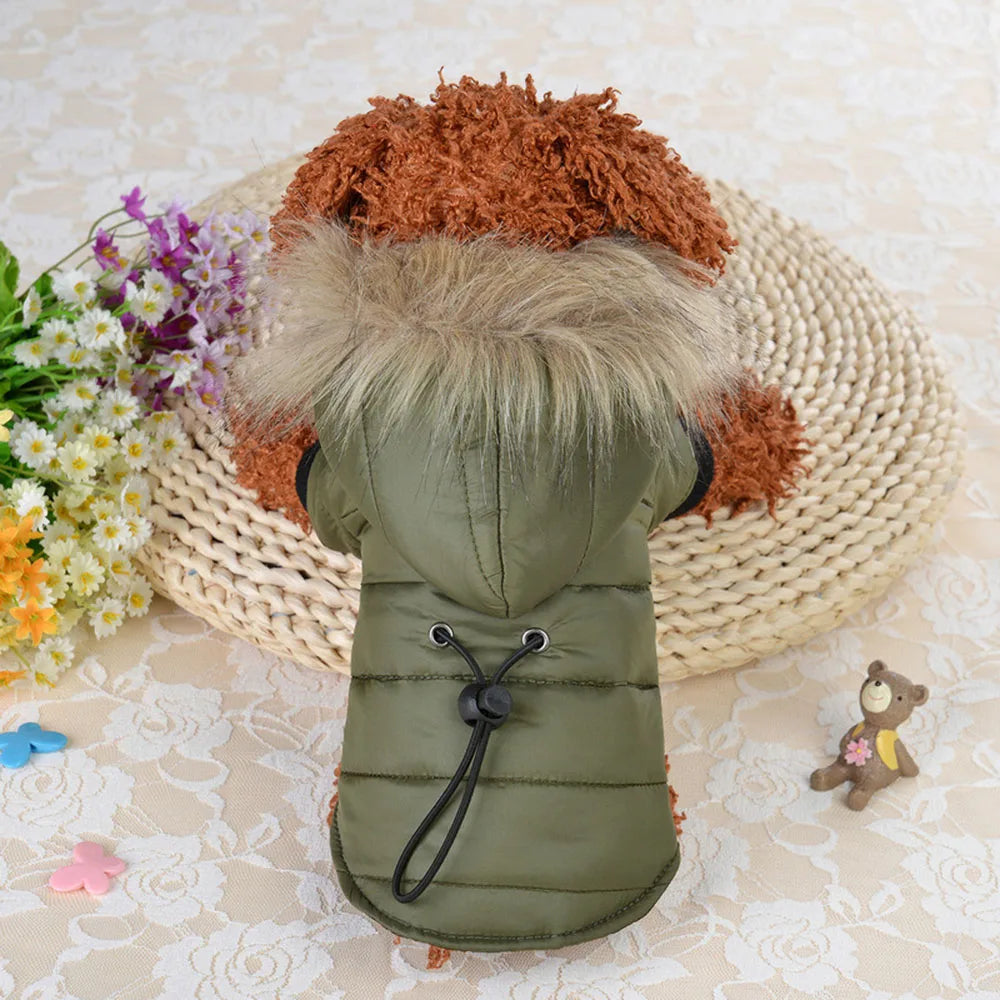 Dog Winter Coat Windproof Small Dog Hoodie Jacket