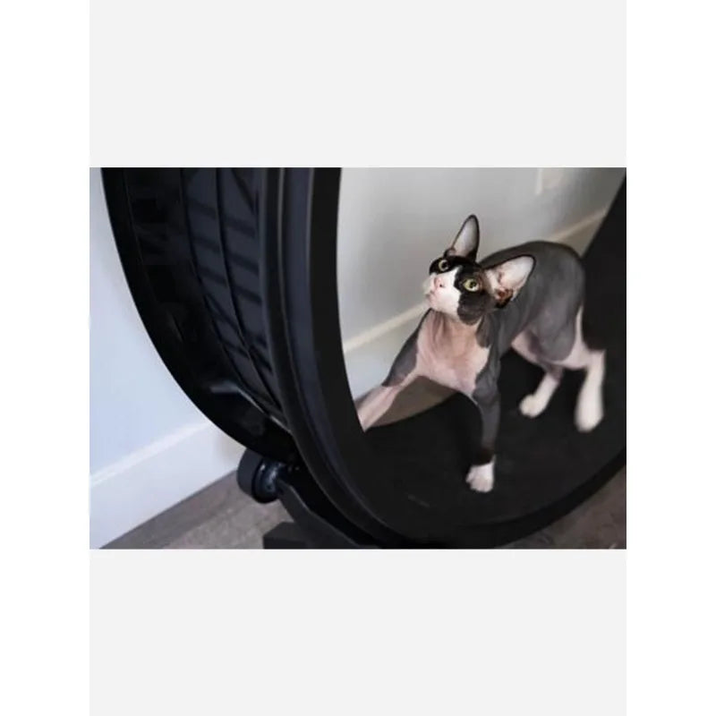 Pet Toys Exercise Wheel Cat Running Exercise Wheel