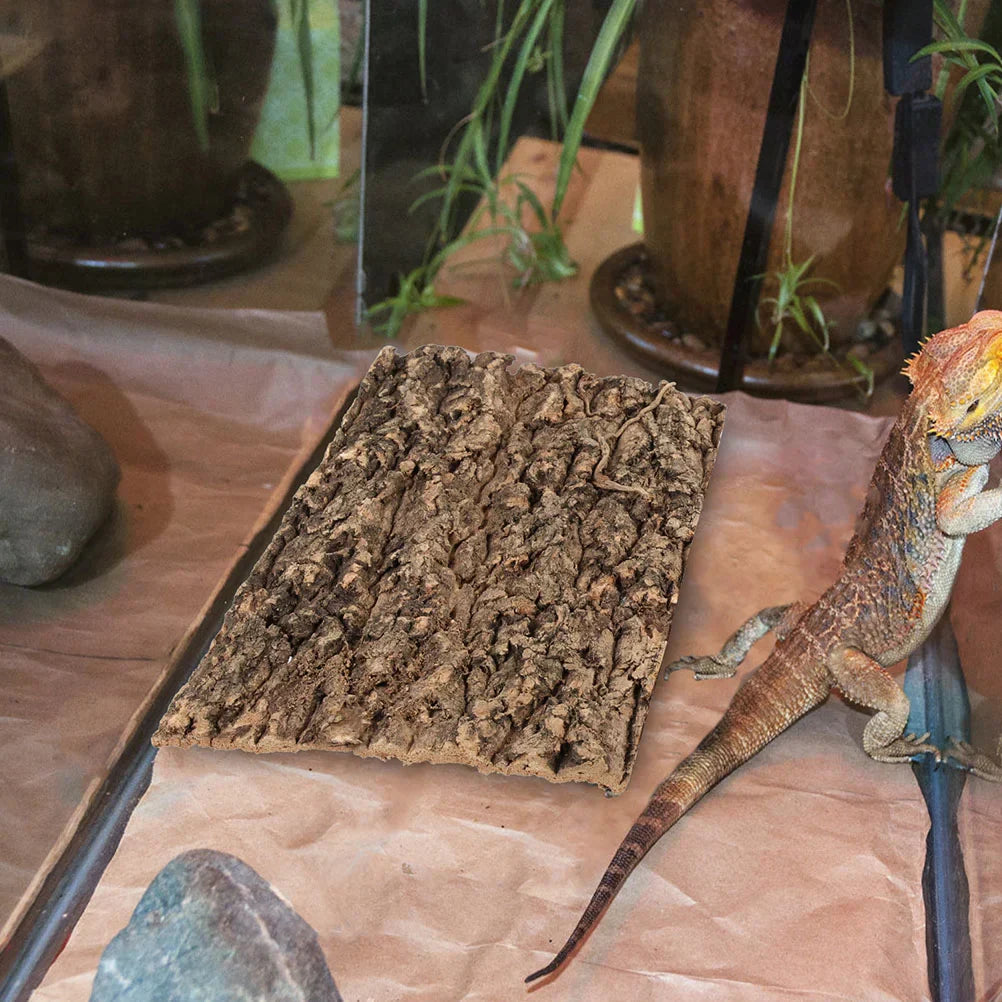 Bark Reptile Cork Tree Terrarium Background Climbing Tank