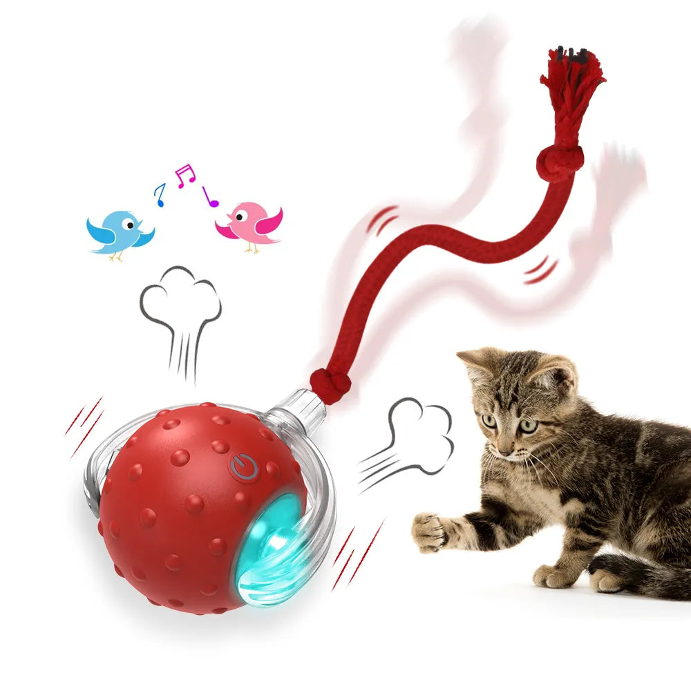 New Cat Rolling Ball Bird Chirping Interactive Cats