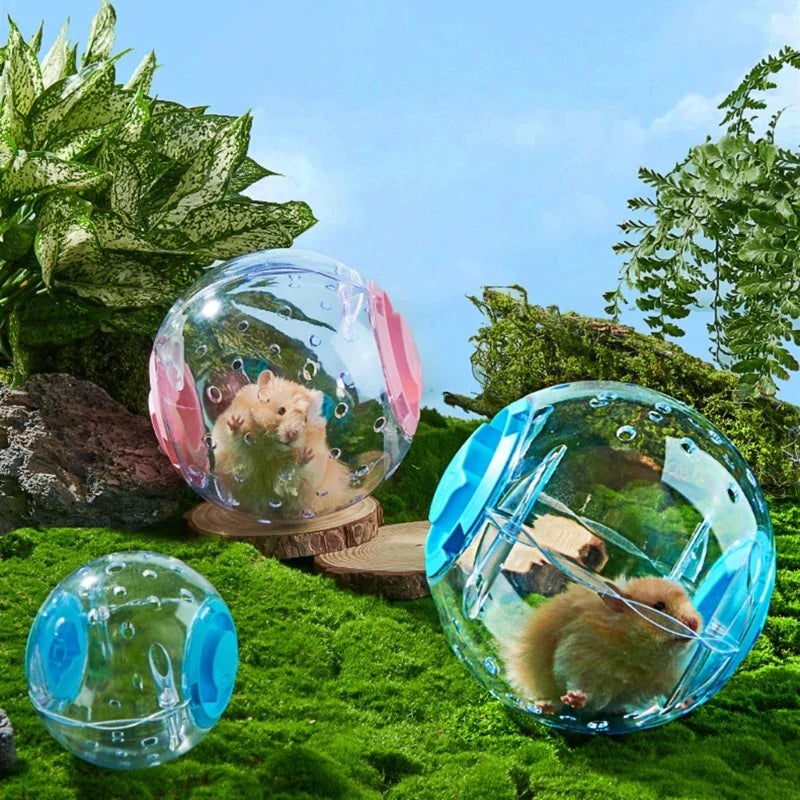 Hamster Running Ball Exercise Toy for Hamsters Gerbils