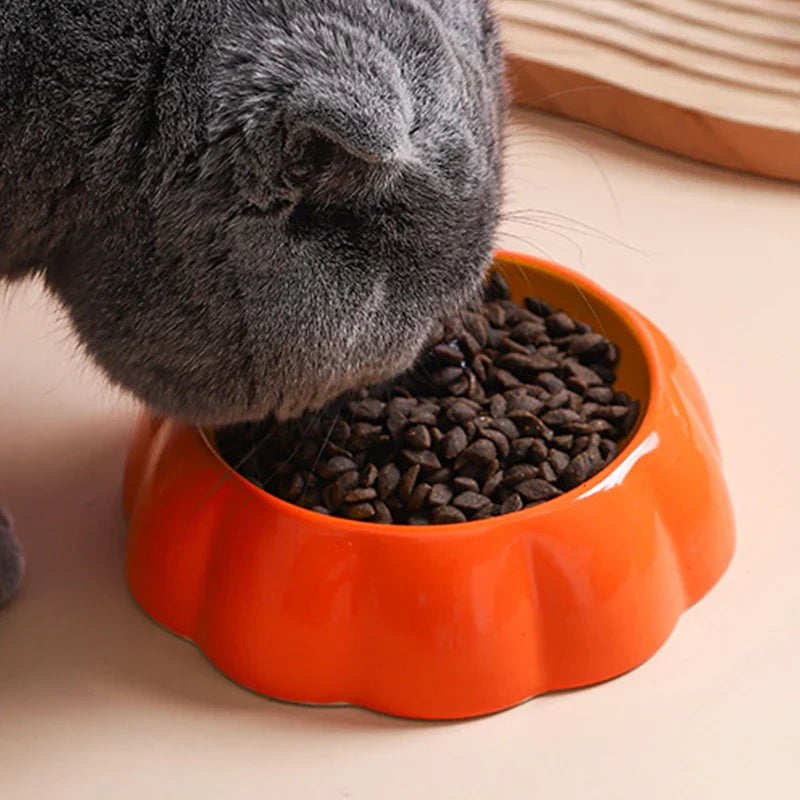 Cat Ceramic Bowl for Small Pet Puppy Kitten