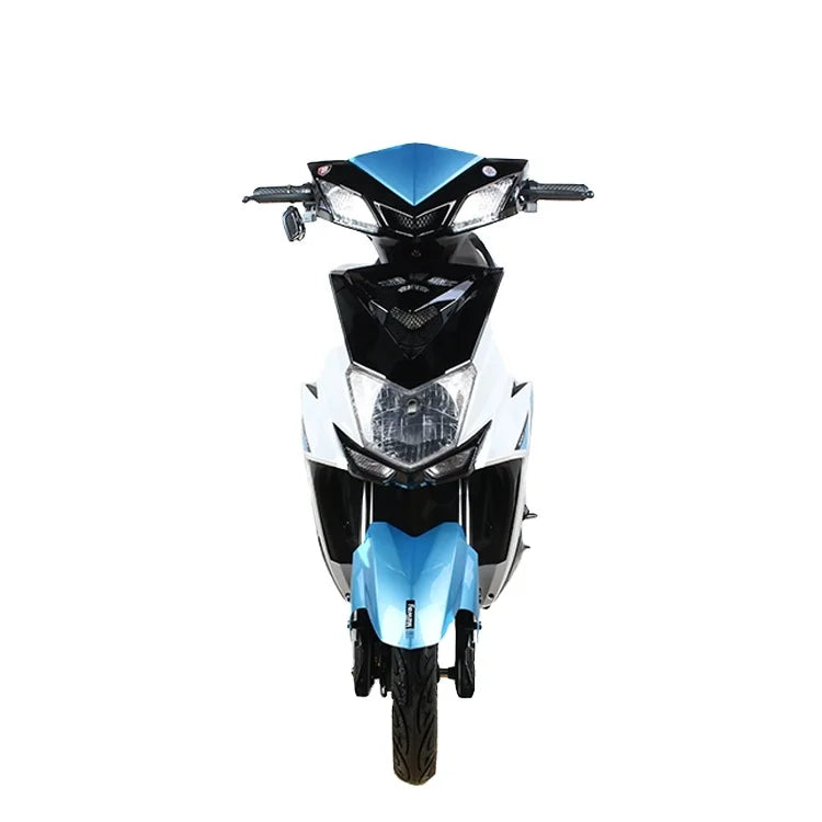 Hot Selling 1000w 60V Leader Two Wheels Adult