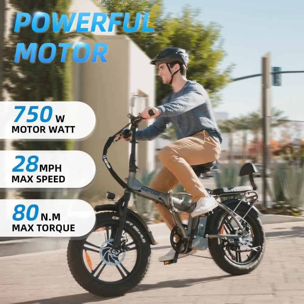 Electric Bike for Adults,750W 48V 13AH Removable Battery