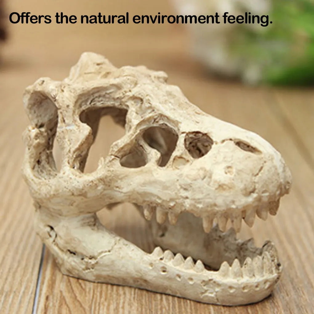 1 Pcs Dragon Resin AquariumTerrarium Decoration Crocodile Skull