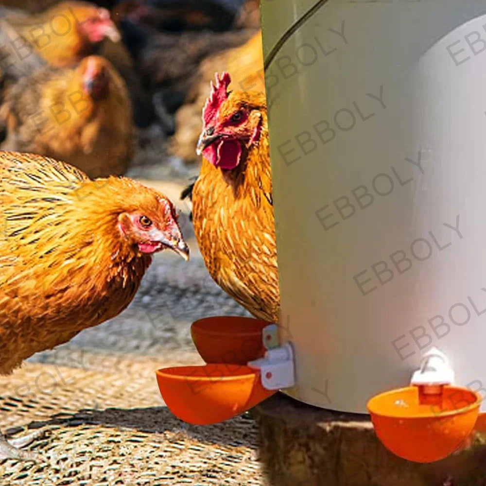 12/20/30PCS Automatic Chicken Water Feeder Drinking Cups Poultry