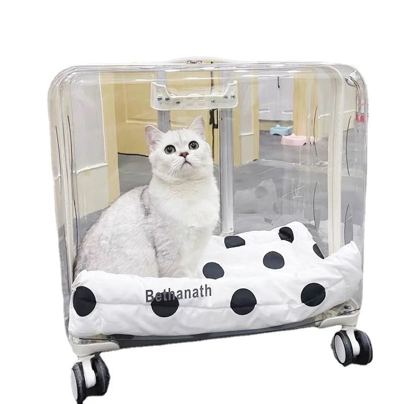 Lightweight Transparent Pet Trolley Case, Beauty Case, Professional
