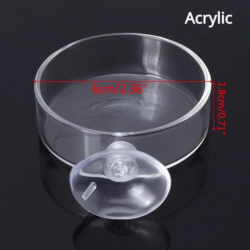 Aquarium Feeding Tube Dish Clear Glass Fish Tank