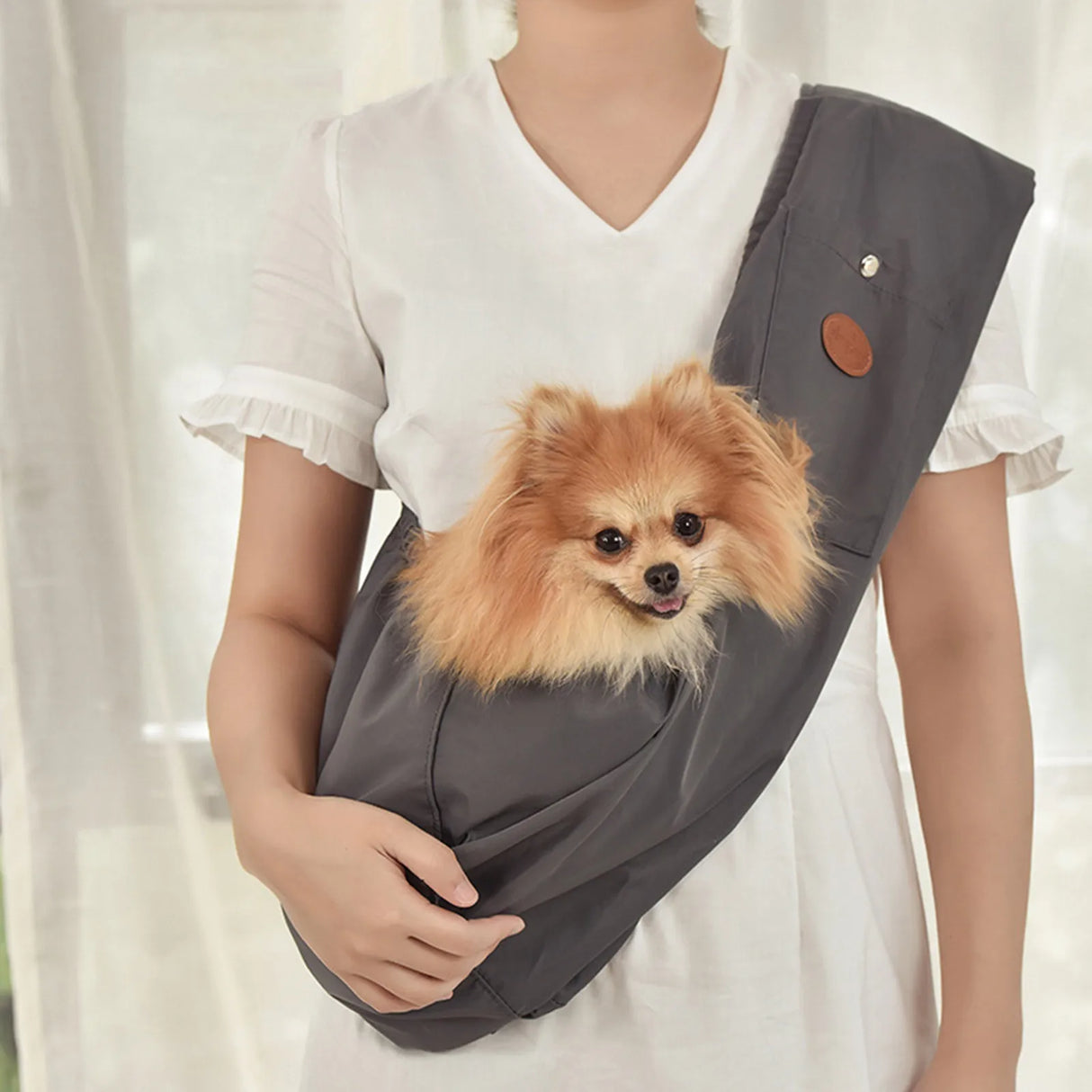 Pet Carrier Bag Carrier Small Dog Carrier Front