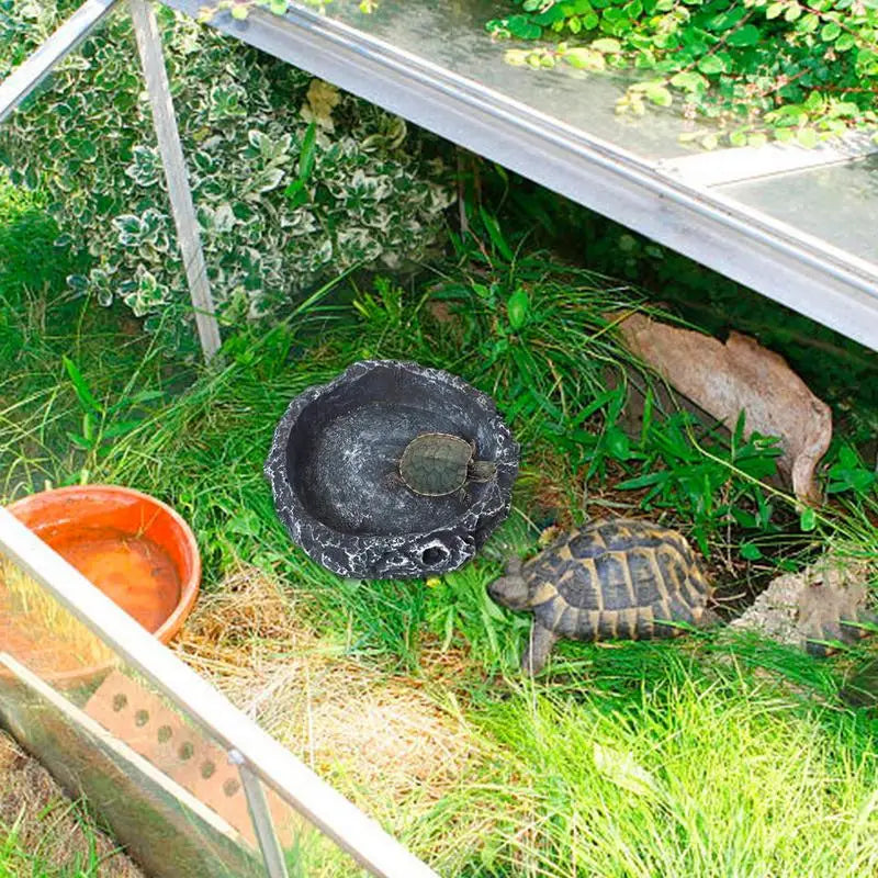 Reptile Water Dish Resin Pet Bow Amphibian Reptile