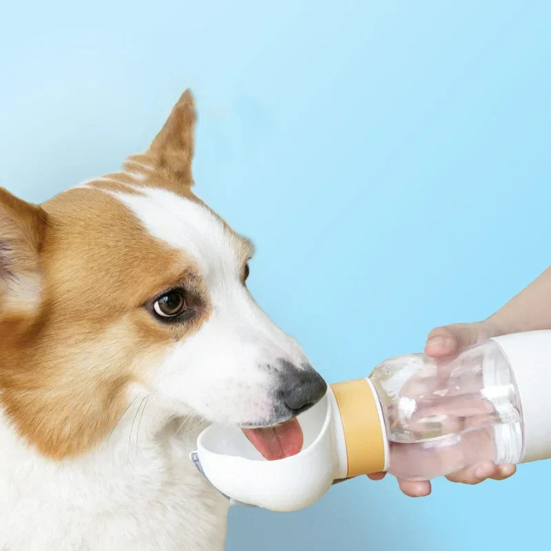 feeding & watering supplies Things for dogs drinker