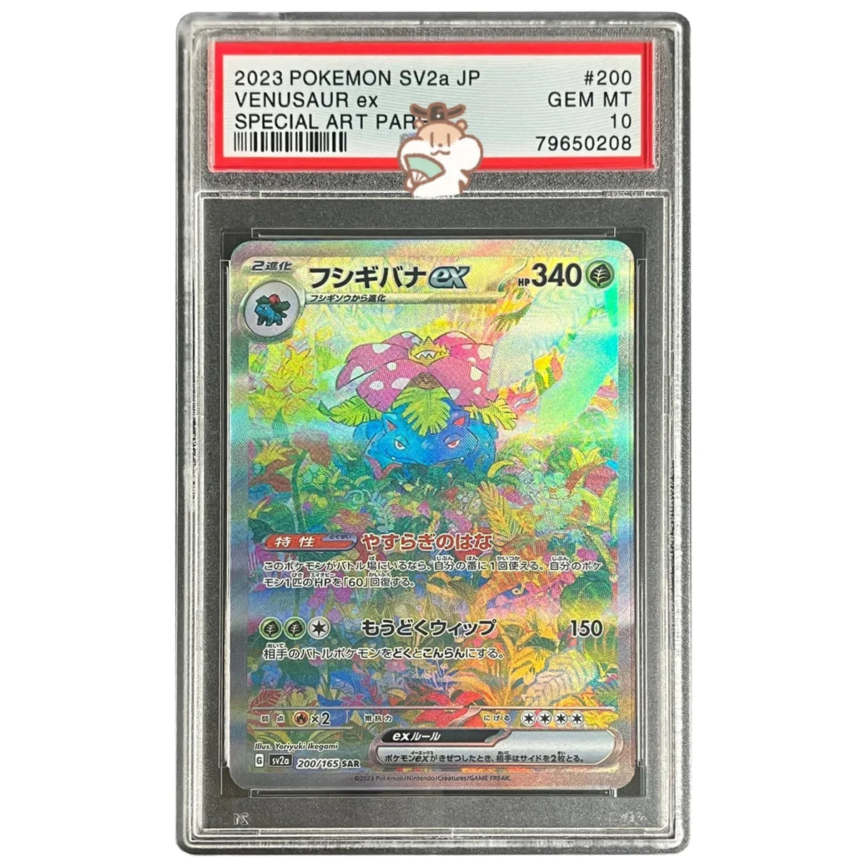 Diy Pokemon PSA Pikachu Charizard Venusaur Mew Collection