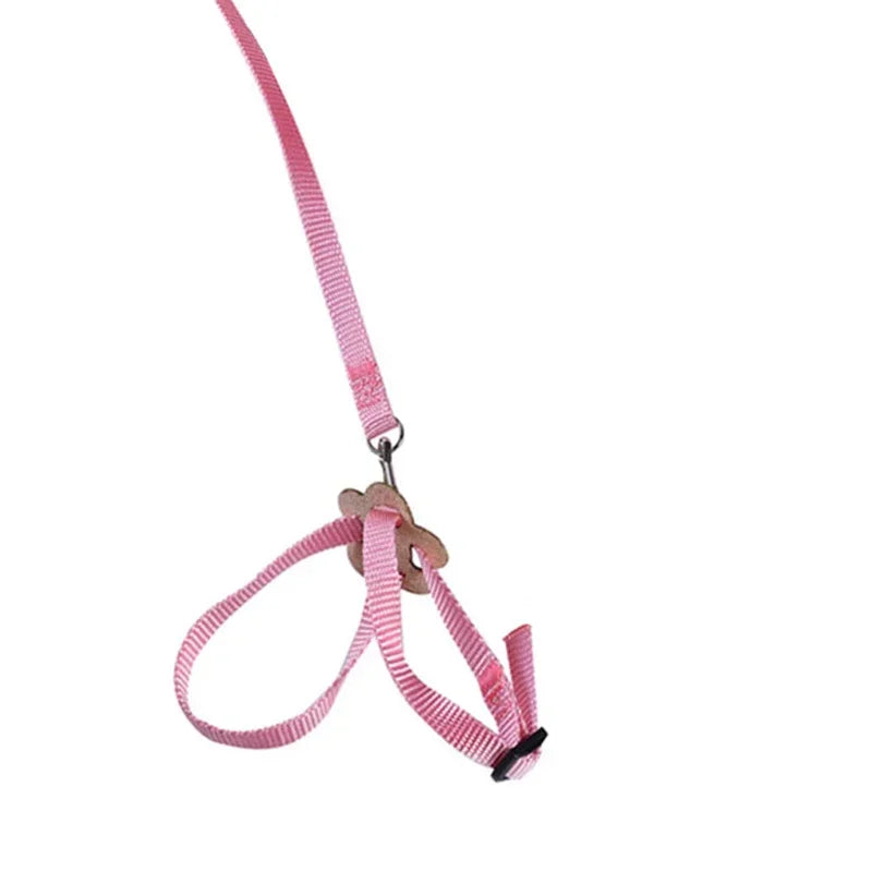 Adjustable Pet Parrot Traction Strap Anti-bite Training Rope