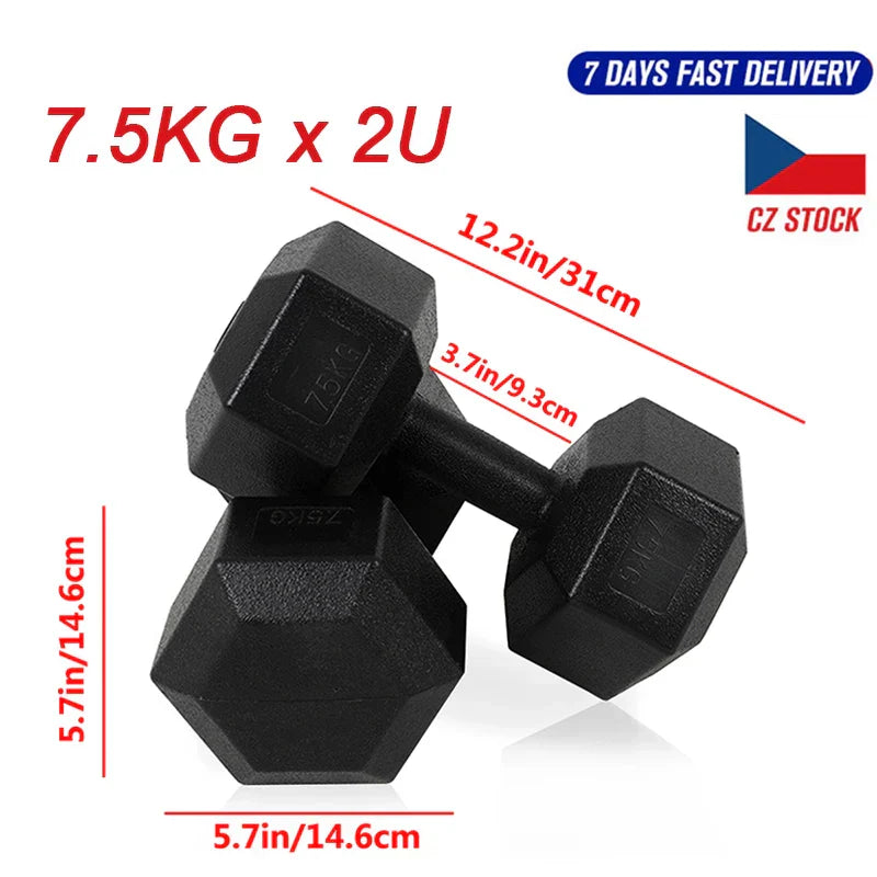 Hexagon Dumbbells Gym Weights for Exercise Dumbbell Gym