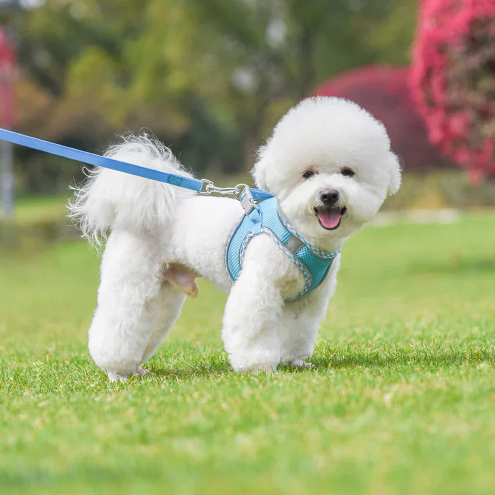 Universal Dog Halter Harness Lightweight Soft Padded Pet