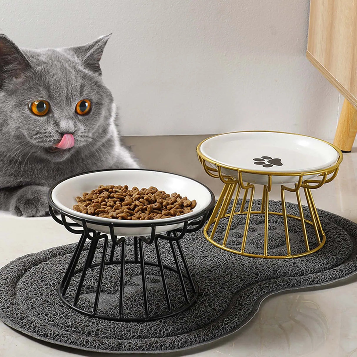 Ceramic Raised Pet Bowl Food Water Treats for