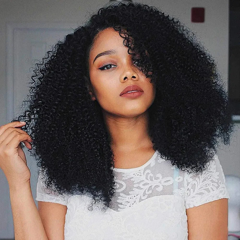 250% Density Afro Kinky Curly Human Hair Wigs