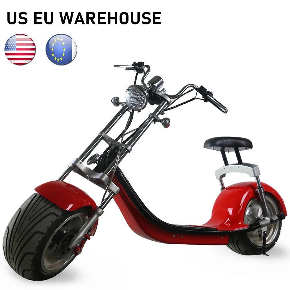 Netherlands warehouse fat tire electric citycoco scooter atv