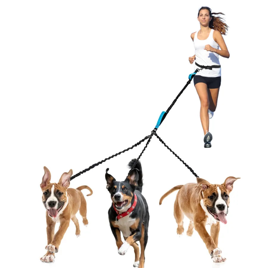 Dog Leash Hands-free Leash Suitable for Pets Running