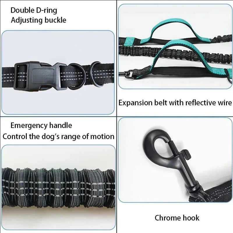 Dog Leash Hands-free Leash Suitable for Pets Running