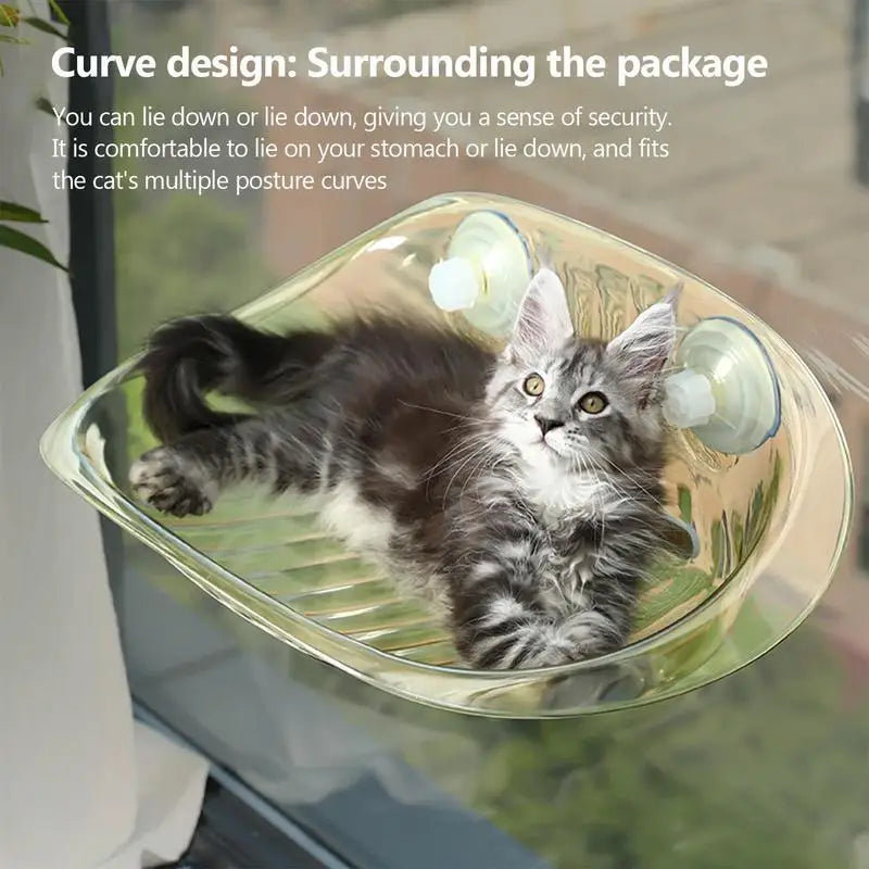 Wall Mount Cat Hammock Wall Shelves Cat Furniture