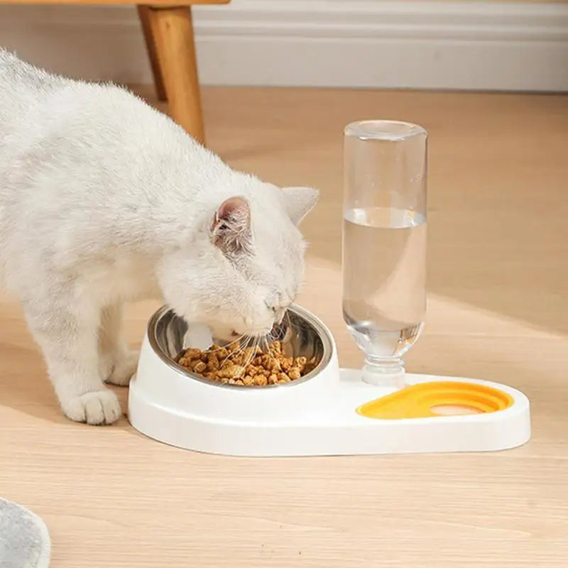Tilted Cat Food Bowl Set Automatic Pet Water