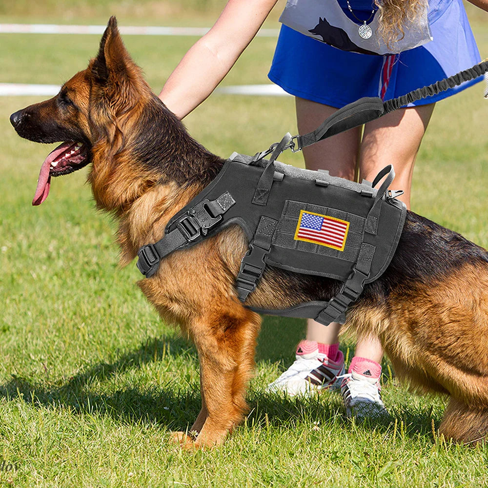 Tactical Military Dog Harness Collar Leash Set Durable